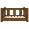Dog Bed Honey Brown 21.9"x17.9"x11" Solid Wood Pine